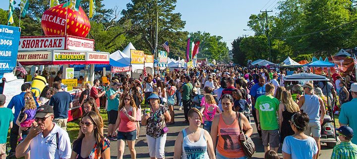 Pungo Strawberry Festival