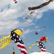 Kite Festival Virginia Beach Oceanfront Virginia Beach Hotels