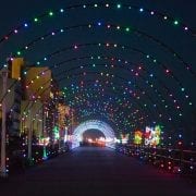 Holiday Lights Merry Mile | Virginia Beach Hotels - Oceanfront