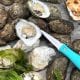 Oysters! - Best of Virginia Beach | Virginia Beach Hotels - Oceanfront