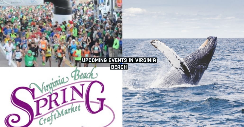 Things to do in March in Virginia Beach Virginia Beach Hotels