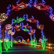 Virginia Beach events - holiday lights at the beach