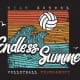 Endless Summer Volleyball Tournament