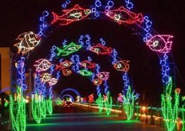 Holiday events in Virginia Beach